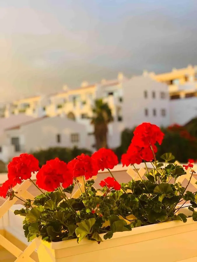 Buenavista Apartment In Windsor Park Costa Adeje  0*, Costa Adeje (Tenerife)
